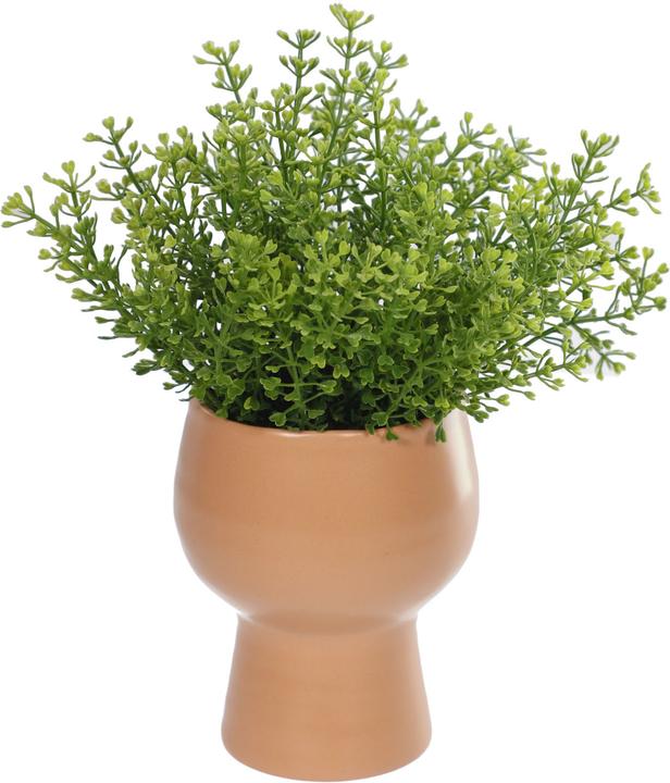 Image du produit Kave Home Myriophyllum (22 cm)