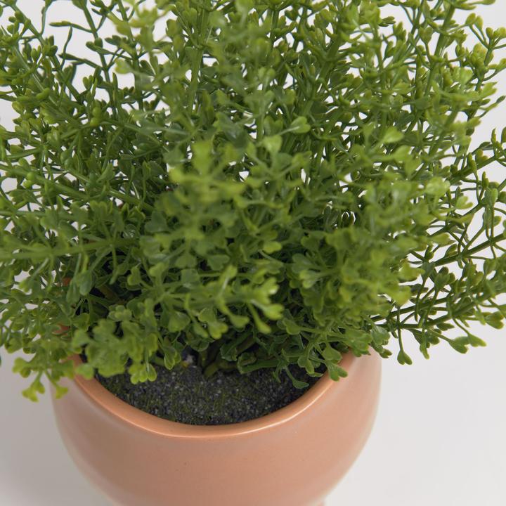 Image du produit Kave Home Myriophyllum (22 cm)