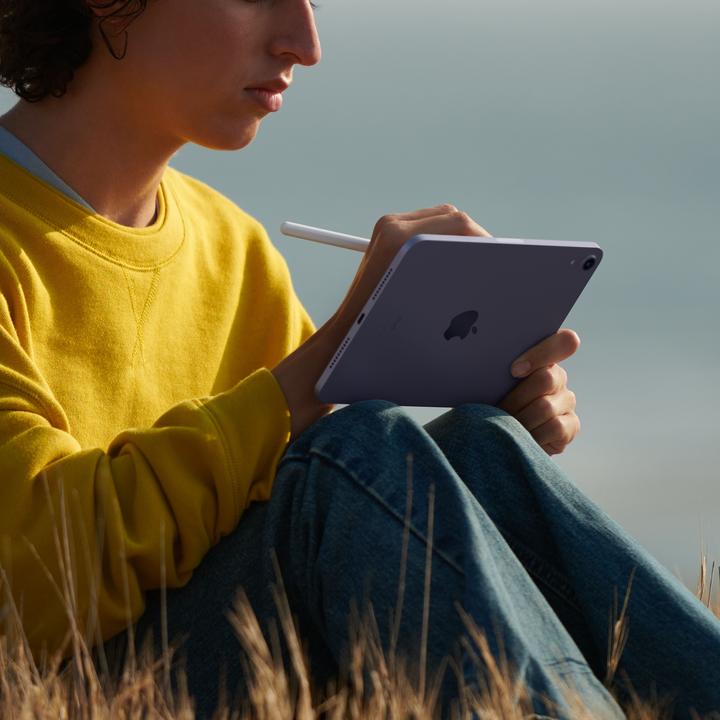 Produktbild Apple iPad mini 2021 (6.Gen) (nur WLAN, 8.30", 256 GB, Pink)