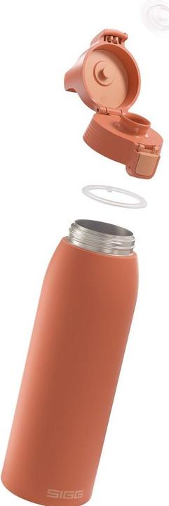 Actual product image Sigg Shield Therm One (1 l)