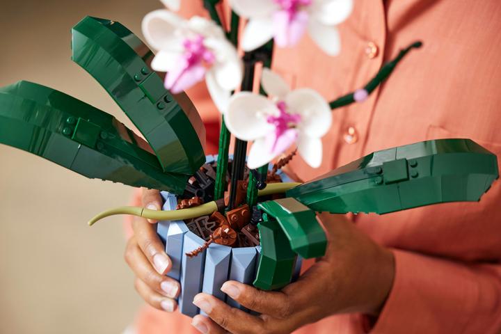 Image du produit LEGO Orchidée (10311, LEGO Botanical)
