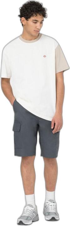 Actual product image Dickies Millerville Short (32)