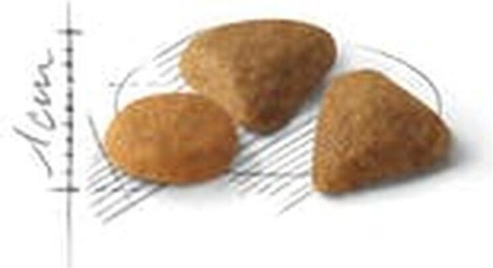 Produktbild Royal Canin Exigent Savour (Adult, 1 Stk., 4000 g)