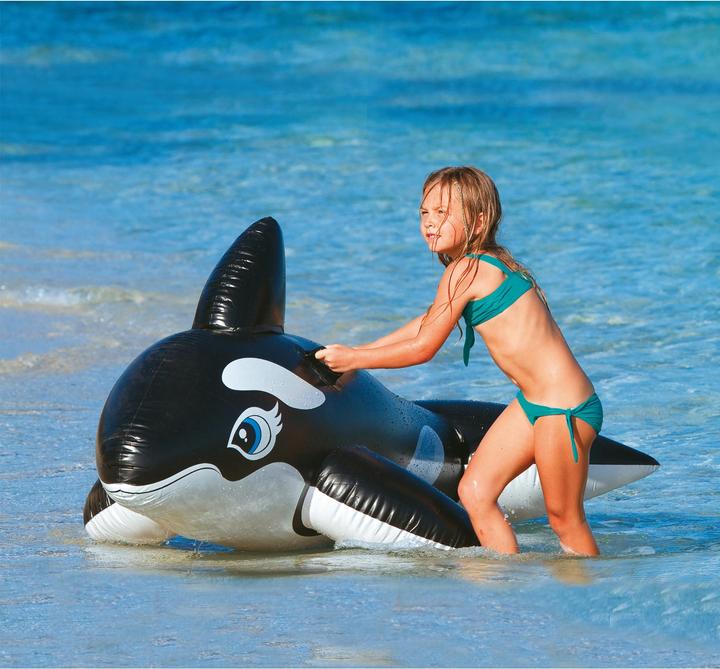 Actual product image Intex Whale