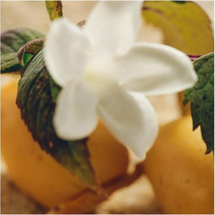 Image du produit Chloé Naturelle Intense Eau de Parfum (Eau de parfum, 75 ml)