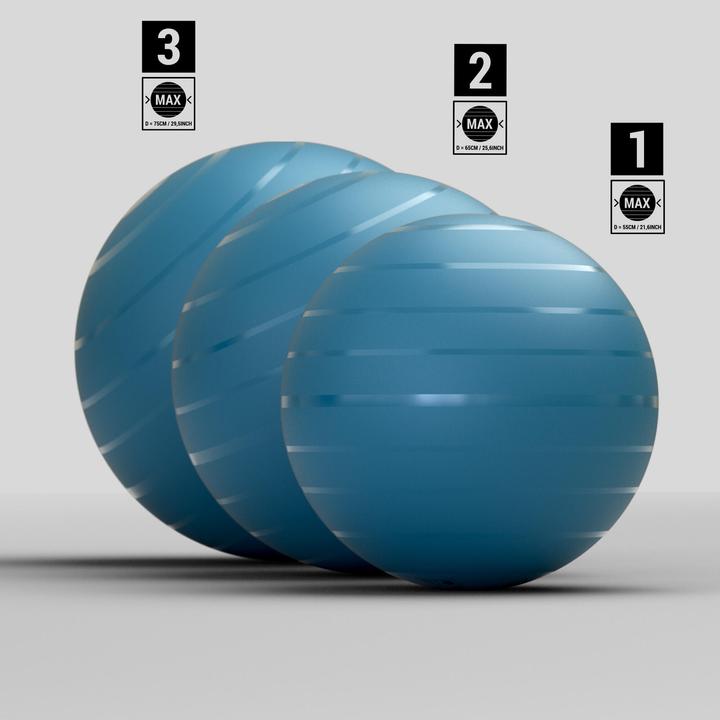 Actual product image Domyos Gym Ball (75 cm)