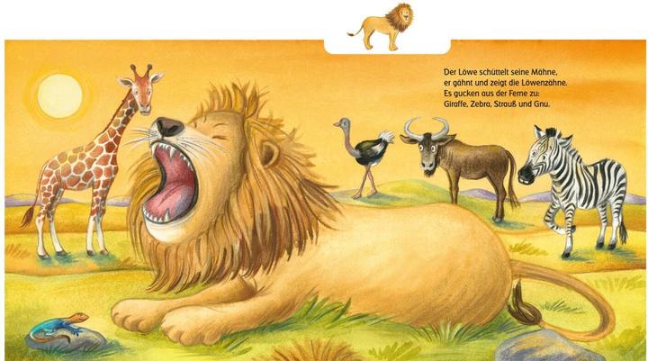 Image du produit Regardez les gros animaux! (Allemand)