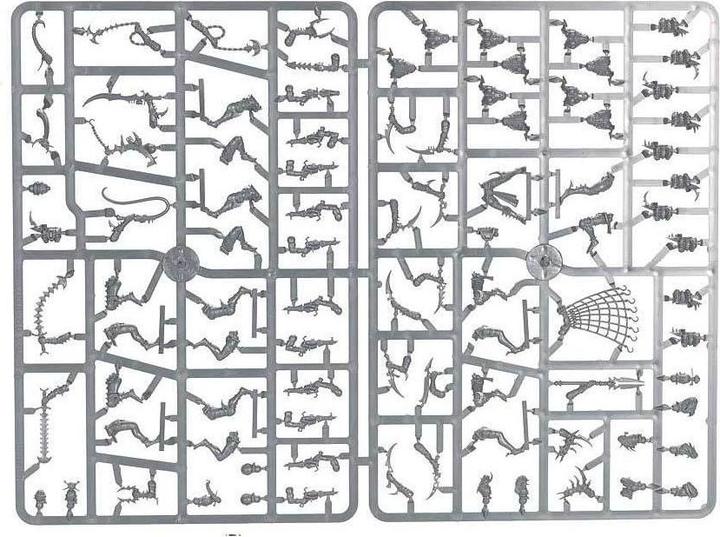 Immagine prodotto Games Workshop Warhammer 40k - Drukhari Wyches (Materiale sintetico)