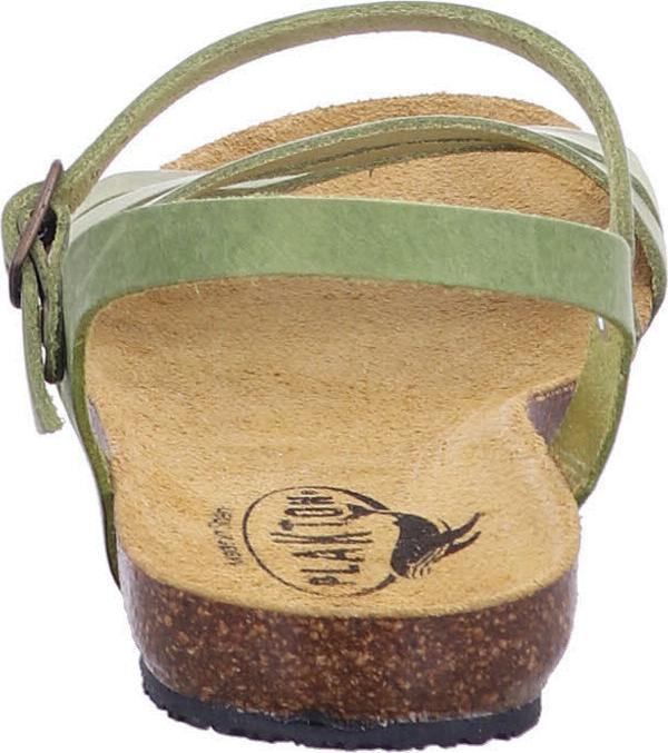 Actual product image Plakton 575080 PISTACIO (40)