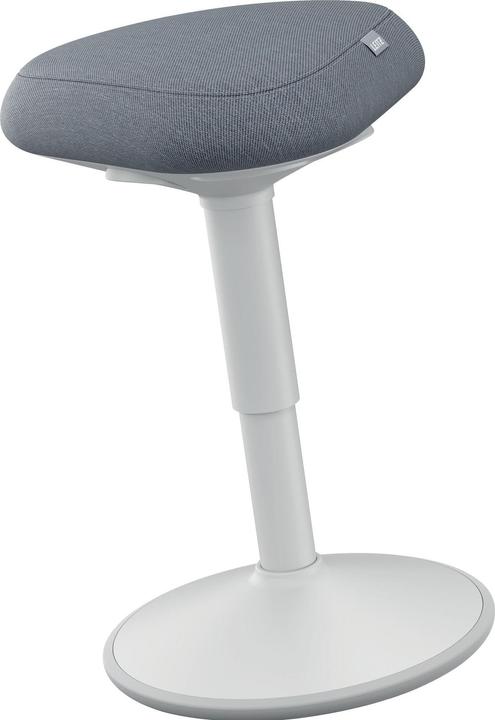 Leitz Ergo Active