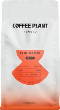 Immagine prodotto Coffee Plant Filtro FLOW Blossom