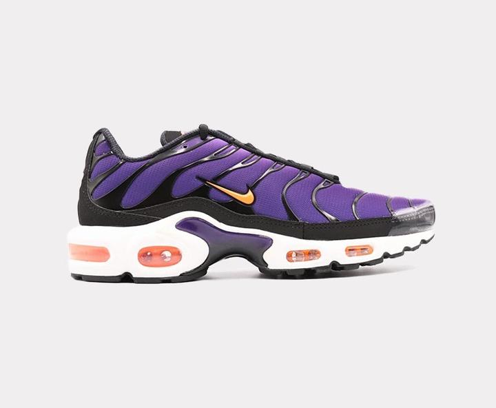 Actual product image Nike Air Max Plus OG (41)
