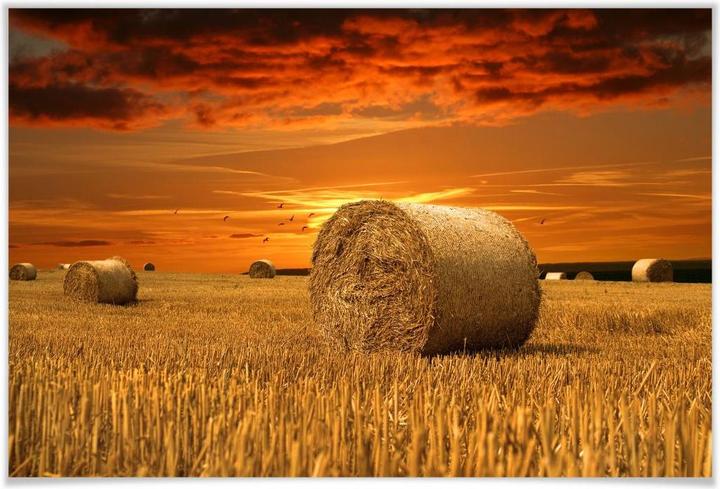 Actual product image Trenddeko straw bale (45 x 30 cm)