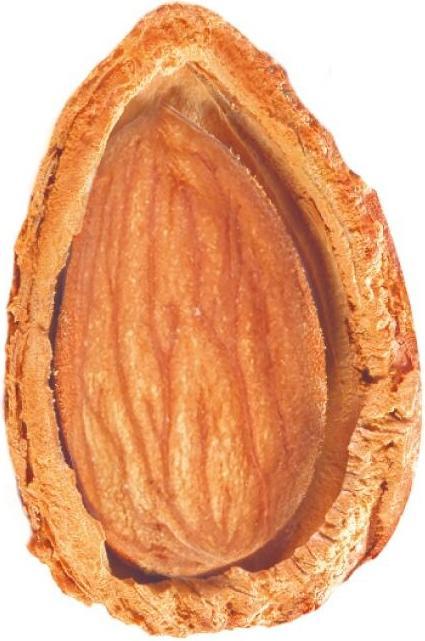 Actual product image Nature Box Volume Conditioner Almond Oil (385 ml)