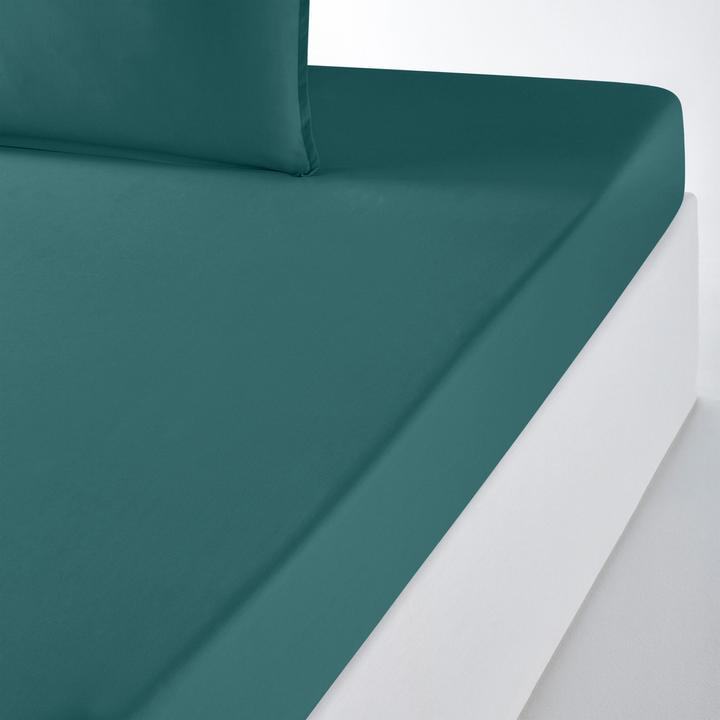 Produktbild La Redoute Interieurs Percale Bio (180 x 200 cm)