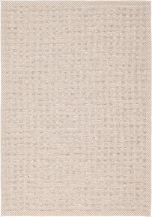 Actual product image Pergamon Indoor & Outdoor Carpet Flatweave Ottawa Border (120 x 170 cm)