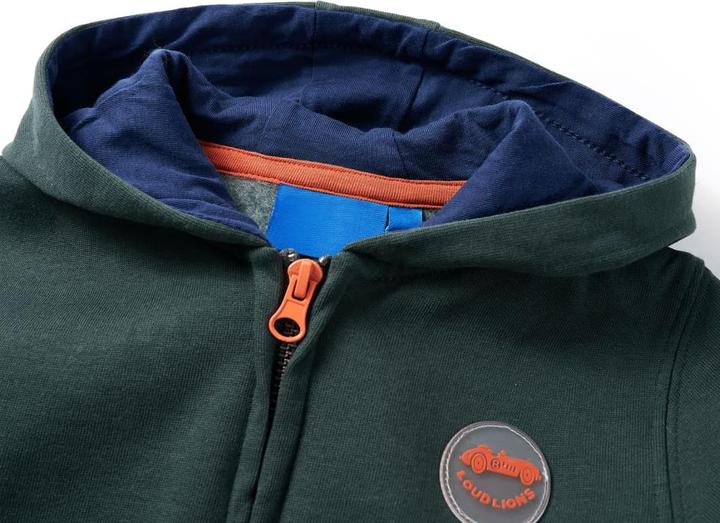 Image du produit VidaXL Sweat à capuche zippé pour enfant Vert foncé (116)