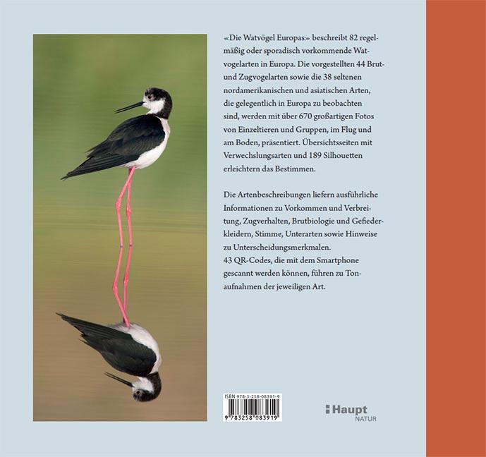 Image du produit Die Watvögel Europas (Allemand, Kirsten Nutto, Martina Wiese, Lars Gejl, 2024)