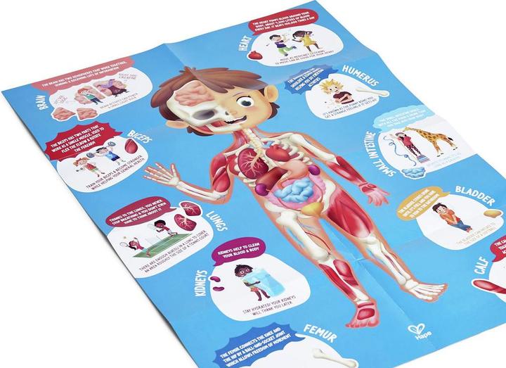 Produktbild Hape Mein Körper (60 Teile)