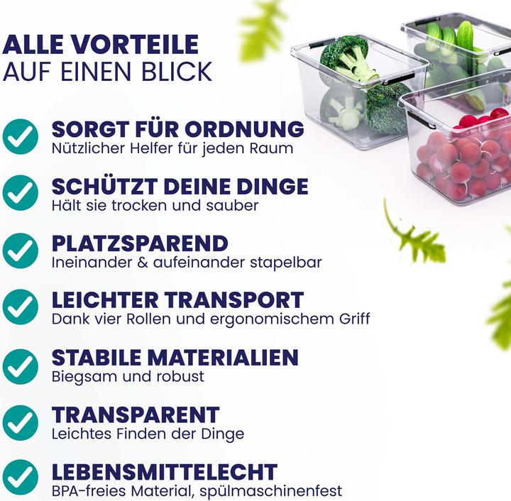 Produktbild Deuba Aufbewahrungsbox (30 x 20 x 12 cm, 5 l)