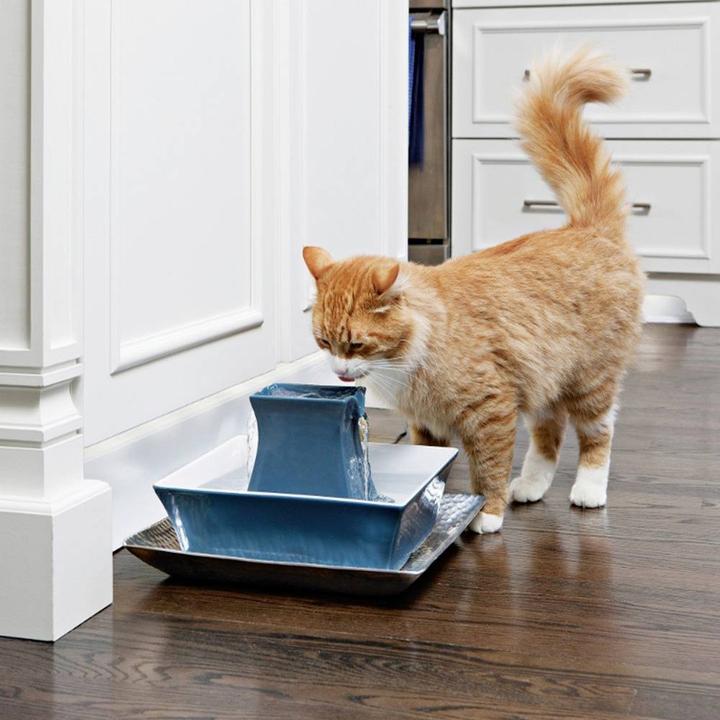 Actual product image PetSafe Pagoda (2.10 l)