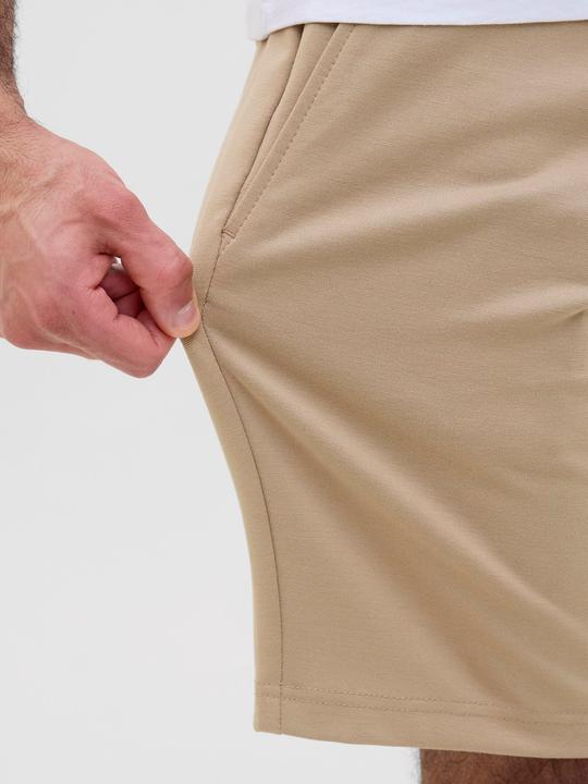 Actual product image Jack & Jones 2er-pack Regular Fit Chino Shorts Chino Shorts (L)