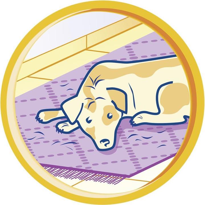 Image du produit Swirl Haar- und Fussel-Entfernungsdüse