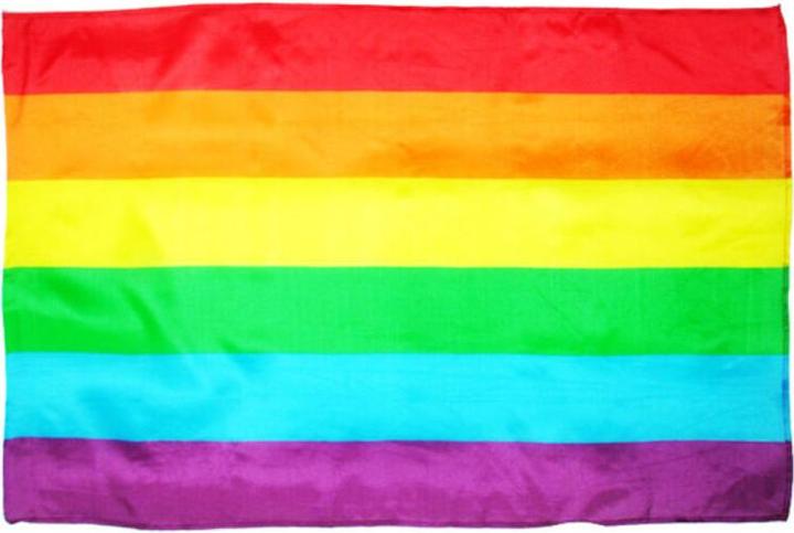 Image du produit Fierté - Grand Drapeau De Lgbt
