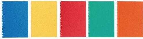 Actual product image Notebook A4, 4 mm squared, with spiral binding, 48 sheets, assorted (A4, Checked)