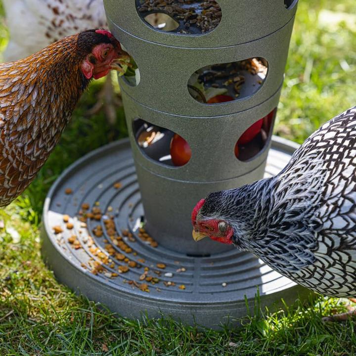 Image du produit Beeztees Mangeoire pour poules Tour d'alimentation, Gris