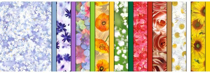 Produktbild Ursus Transparentpapier Flora A4, 115 g/m², 18 Stück, Mehrfarbig (115 g/m², 18 x, A4)