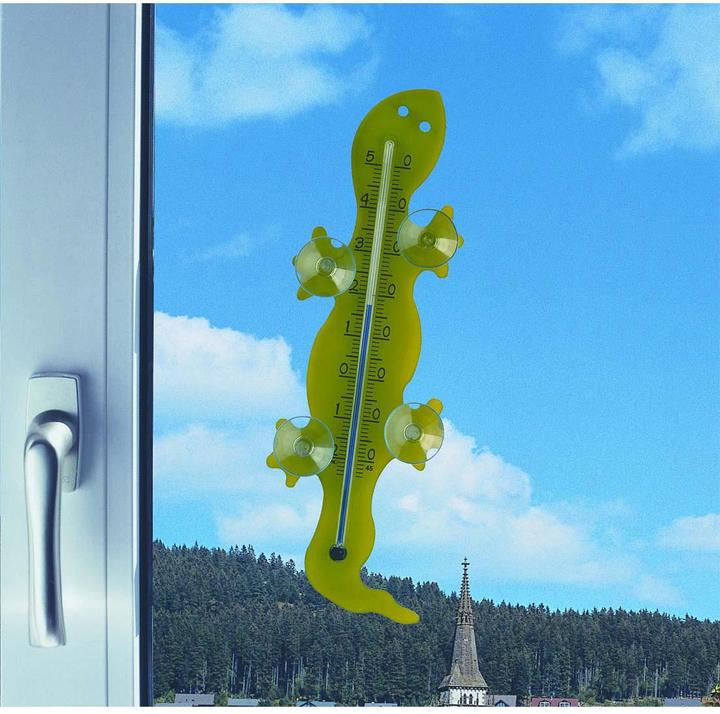 Actual product image TFA Gecko
