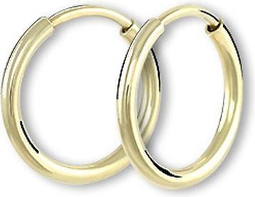 Image du produit Brilio Cercle d'or boucles d'oreilles 231 001 00487