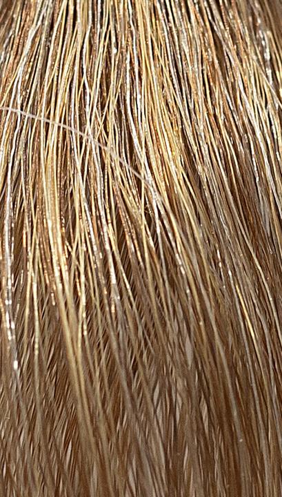 Immagine prodotto Ref. Soft Colour Colouration 8.31 Biondo cenere oro chiaro 3 x 50 ml (8,31 Biondo cenere oro chiaro)