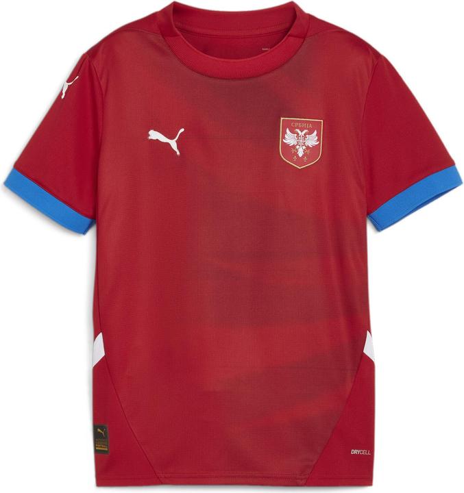 Actual product image Puma FSS Home Jersey Replica Jr (152)