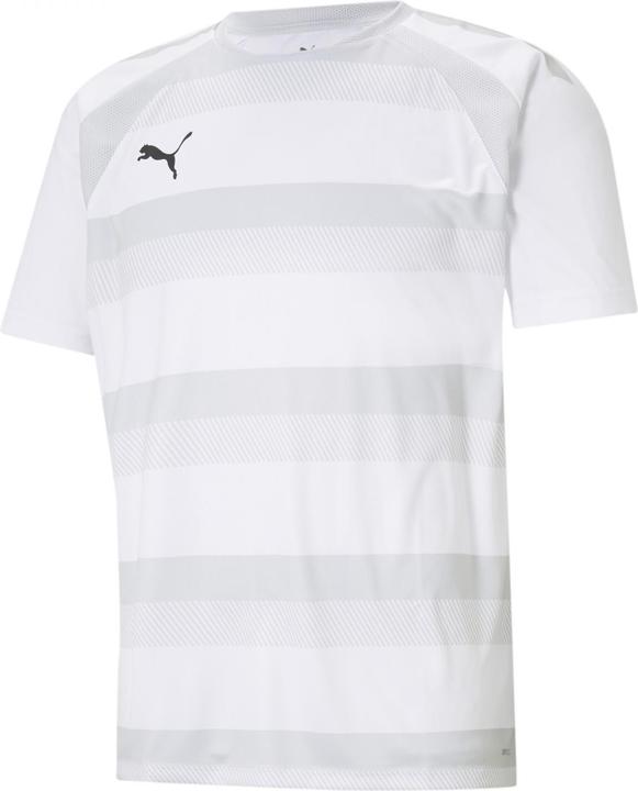 Produktbild Puma teamVISION Jersey-704921 (S)