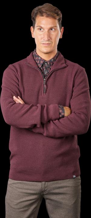 Actual product image BRAX Steffen Trojer Portobello (XXL)