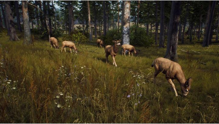 Actual product image THQ Way of the Hunter (PS5, EN, FR, IT)