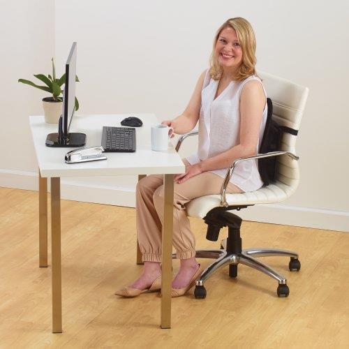 Image du produit Kensington K60412WW Support dorsal réglable SmartFit