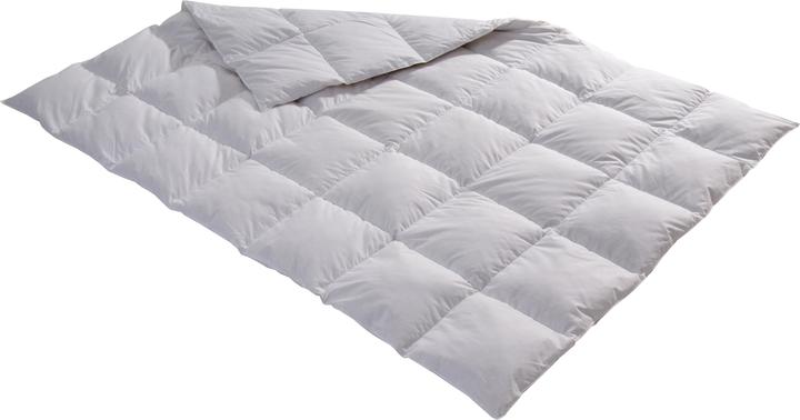 Produktbild Billerbeck Edition Thea (880 g, 240 x 240 cm)