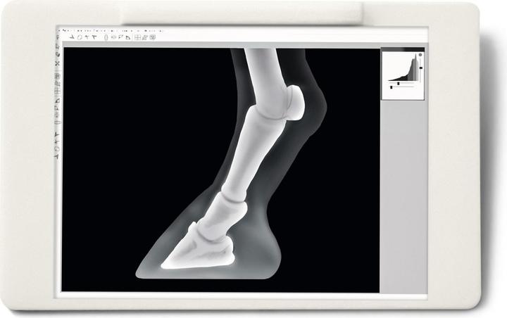 Image du produit Schleich Vétérinaire mobile avec un poulain hanovrien