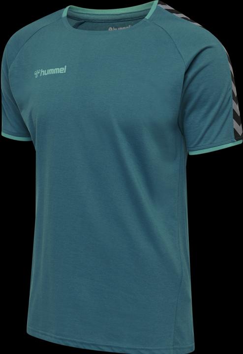 Image du produit hummel Authentic Training Tee (S)