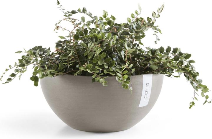 Actual product image Ecopot Brussels (25 cm)