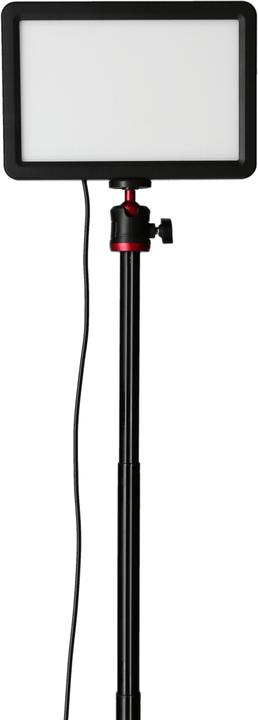 Actual product image Rollei Lumis Key-Light (Video light)