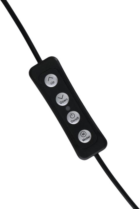 Actual product image Rollei Lumis Key-Light (Video light)