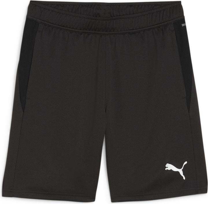 Puma teamGOAL Training Short