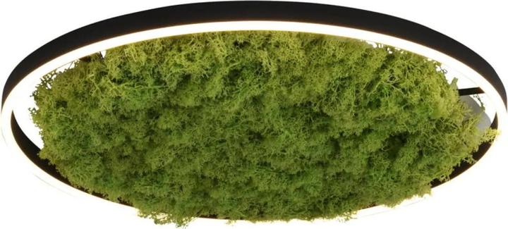 Leuchten Direkt Green Ritus (3650 lm)