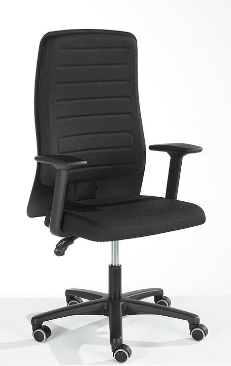 Image du produit Prosedia Chaise de bureau ECCON plus-3, contact permanent, sans accoudoirs, div. modèles, avec lordose...