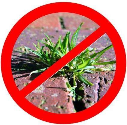 Immagine prodotto Noor Blocca-erbacce 105 gr/m² 0,9 x 10 m I La pellicola da giardino per il letto rialzato e la serra I Un