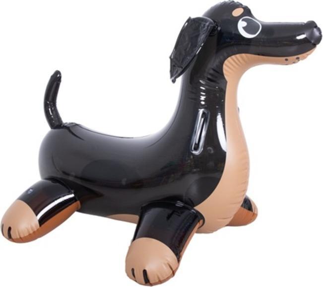 Image du produit Jilong Pompe SUP